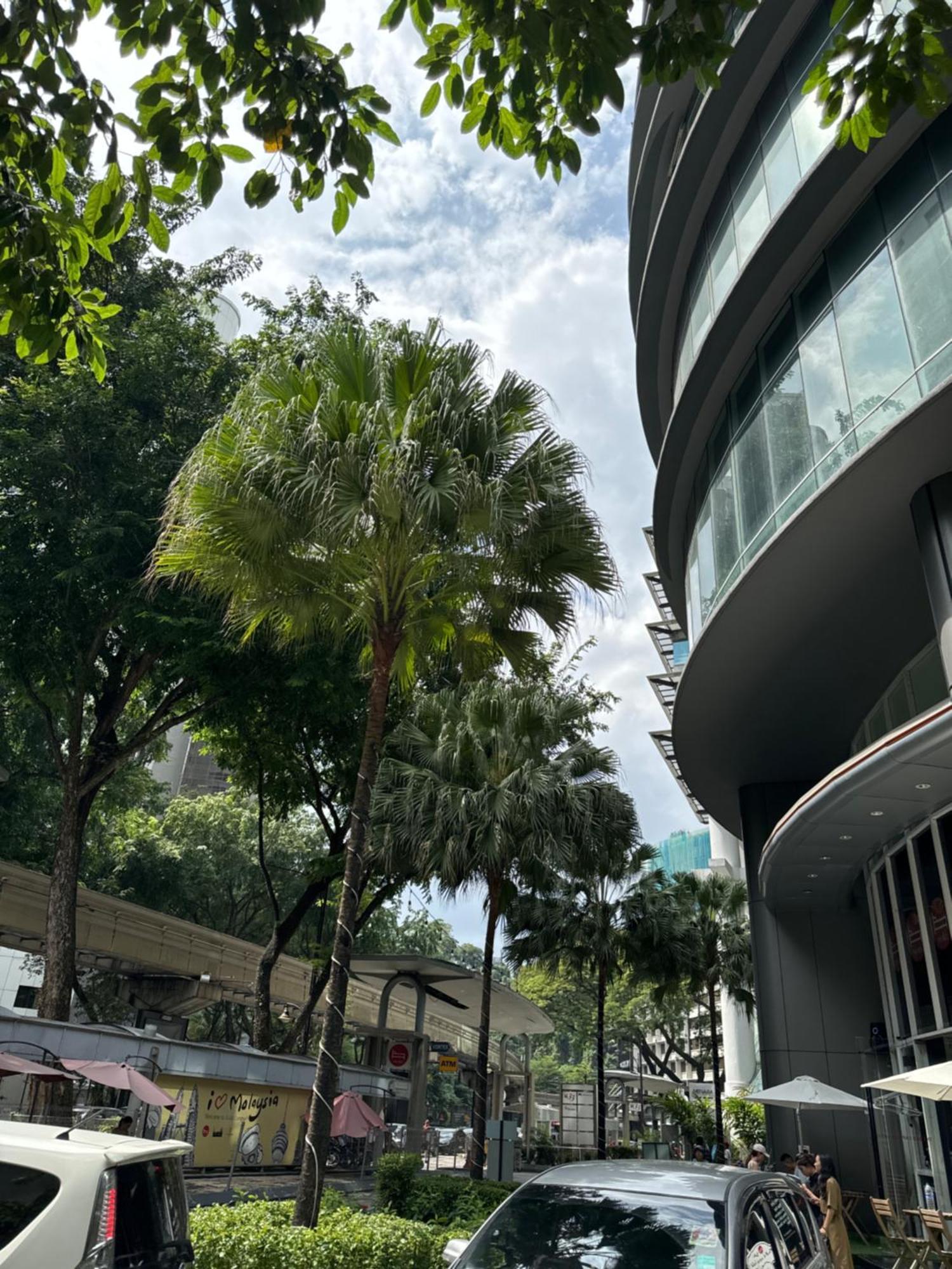 Vortex Suites Klcc 2Bedroom & 3Bedroom Apartment 吉隆坡 外观 照片